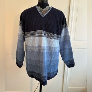 Bobbie Brooks Men's V-Neck Sweater in Navy and Light Blue